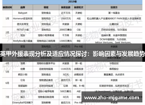 英甲外援表现分析及适应情况探讨：影响因素与发展趋势